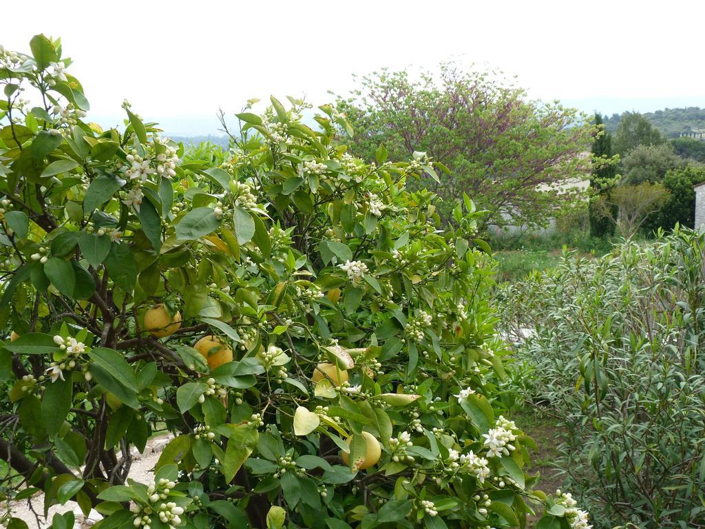 La Bastide Des Senteurs Peymeinade Exterior foto